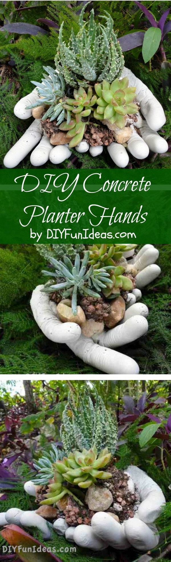 25 DIY Succulent Garden Ideas and Tutorials | Styletic