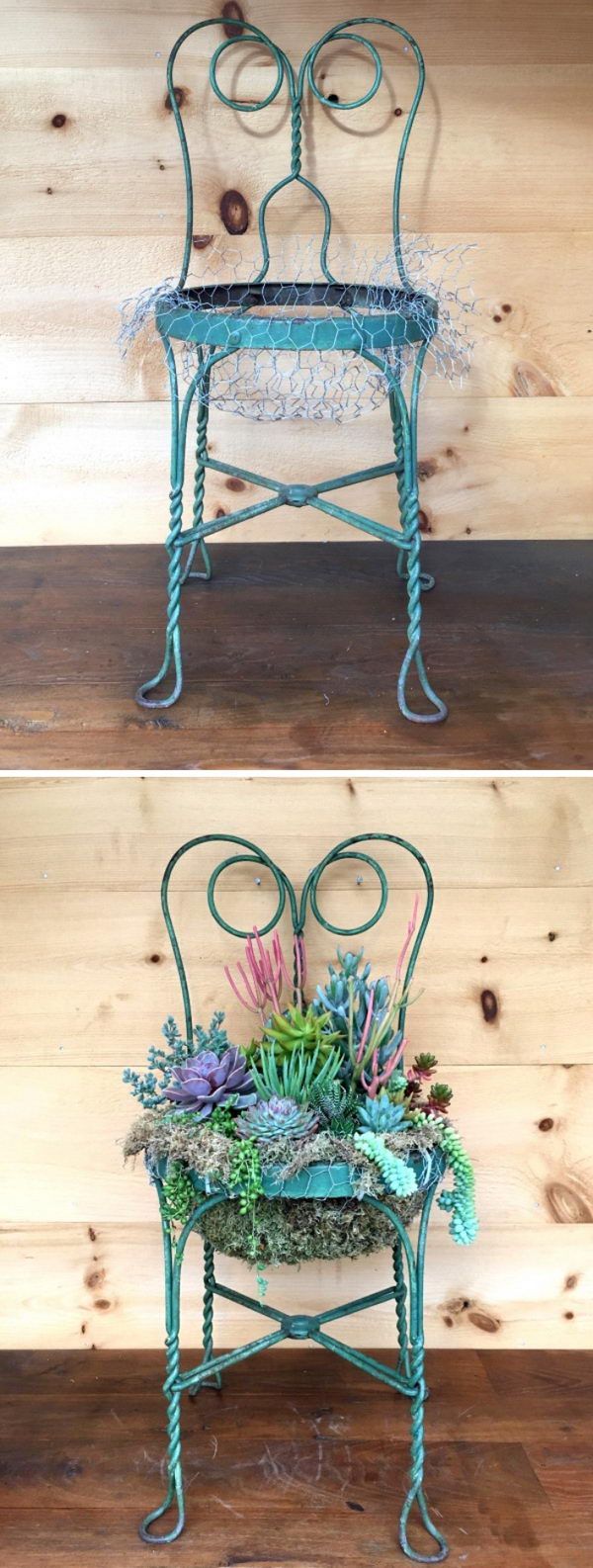 25 DIY Succulent Garden Ideas and Tutorials | Styletic