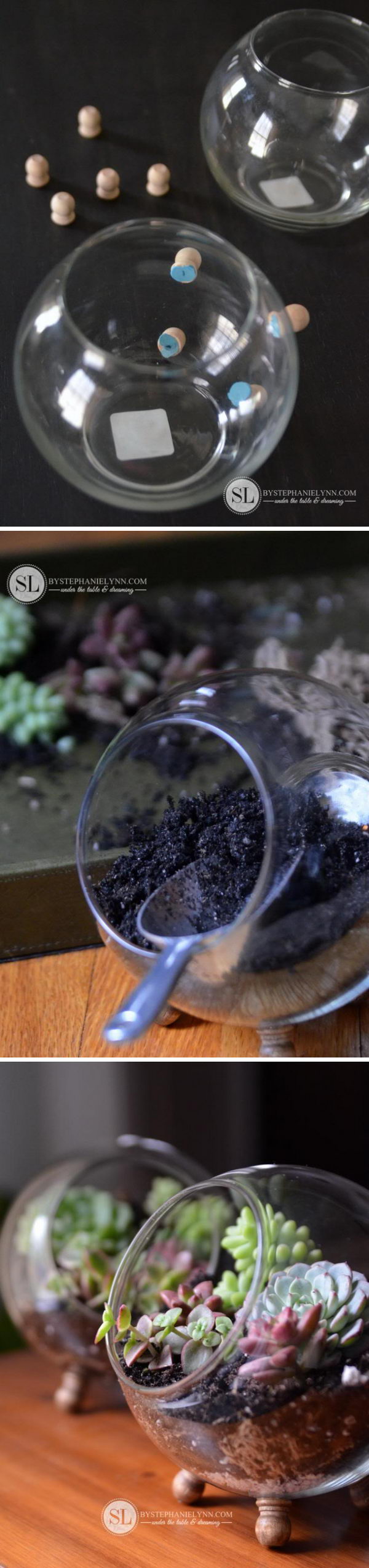 25 DIY Succulent Garden Ideas and Tutorials | Styletic