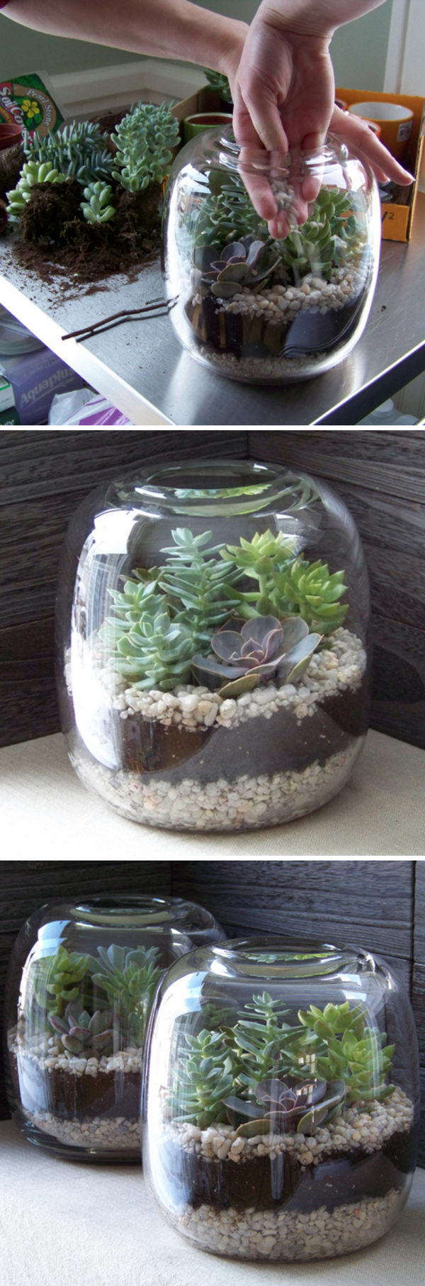 25 Diy Succulent Garden Ideas And Tutorials Styletic
