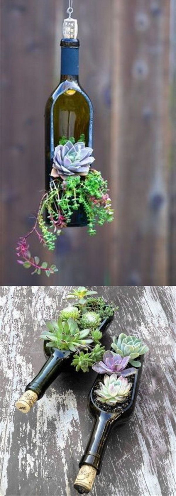 25 DIY Succulent Garden Ideas and Tutorials | Styletic