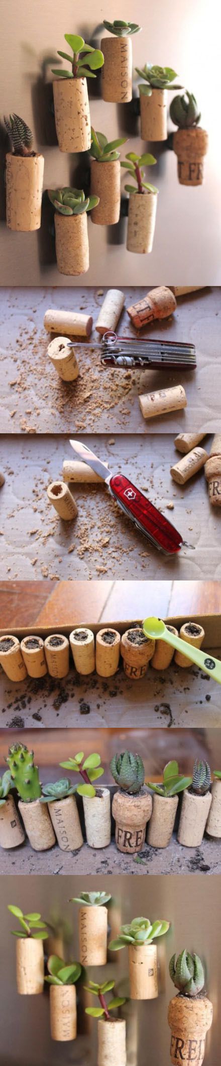25 DIY Succulent Garden Ideas and Tutorials | Styletic