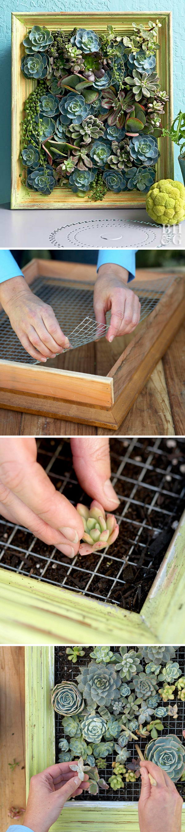 25 DIY Succulent Garden Ideas and Tutorials | Styletic