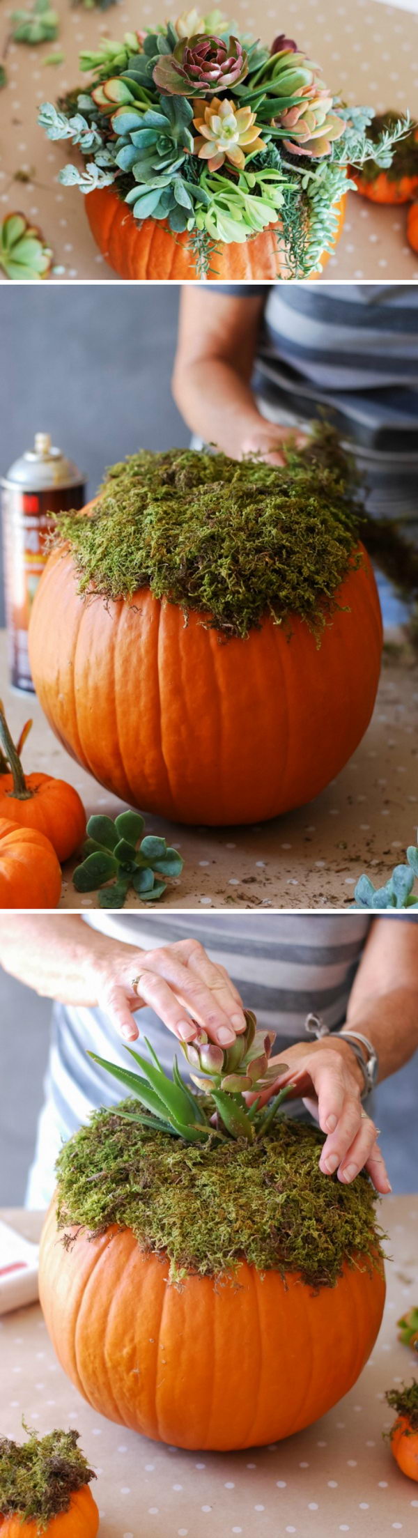 25 DIY Succulent Garden Ideas and Tutorials | Styletic